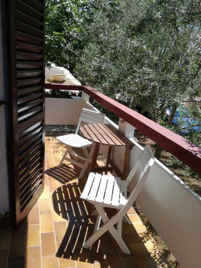 Aenona Sunny Apartment Vrsi Exterior photo